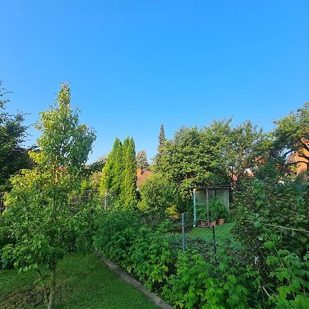 Apartament Suedharzperle Bad Lauterberg Zewnętrze zdjęcie