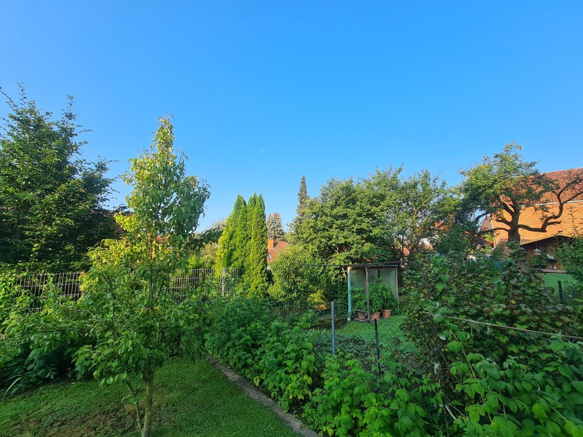 Apartament Suedharzperle Bad Lauterberg Zewnętrze zdjęcie