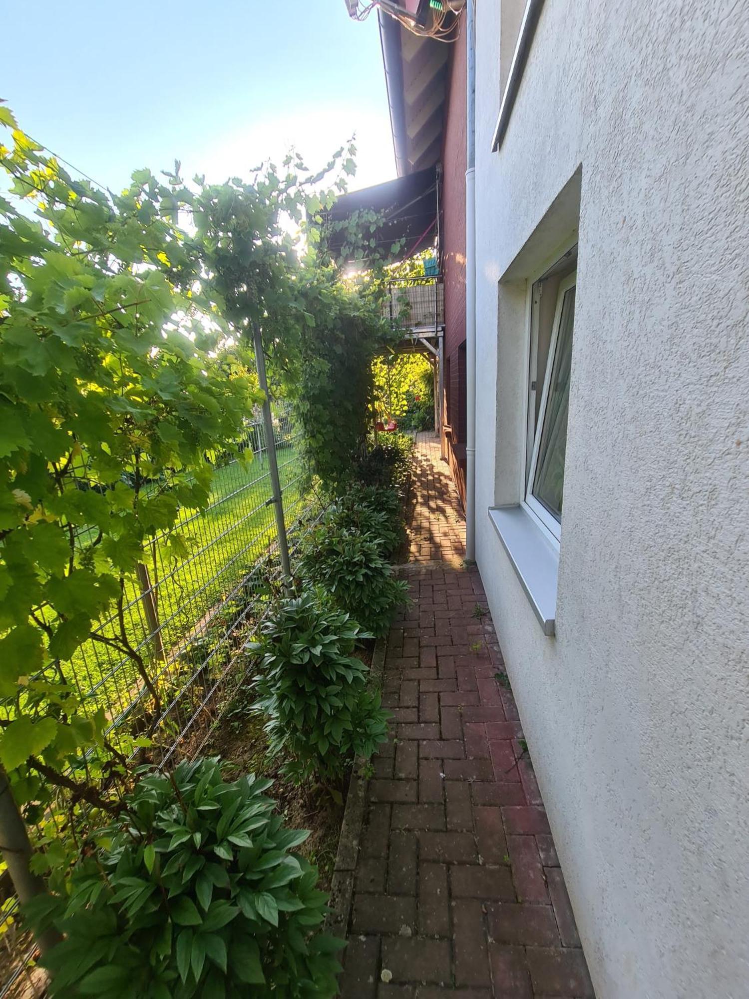 Apartament Suedharzperle Bad Lauterberg Zewnętrze zdjęcie